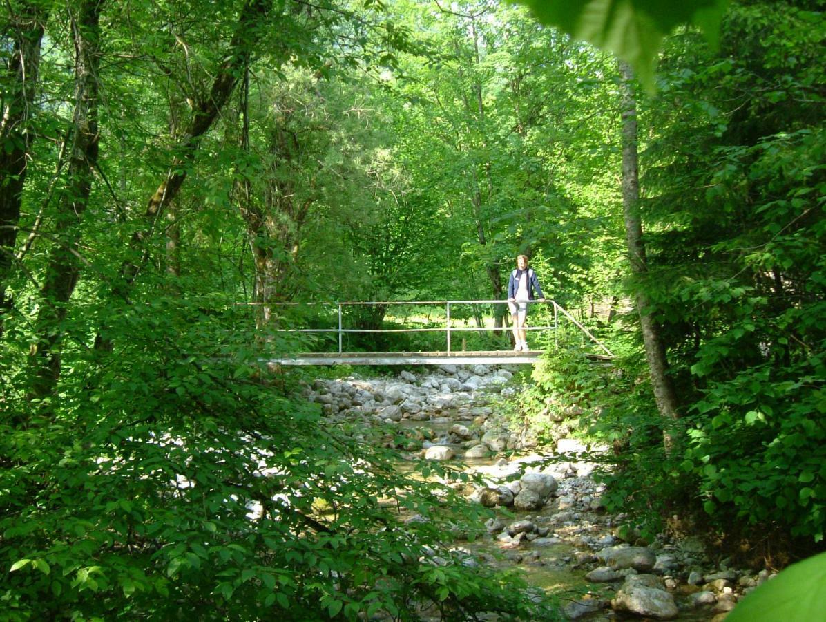 Homestay Haus Salvenmoser Walchsee